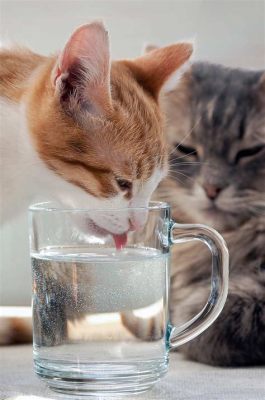 三キロ痩せる方法: なぜ猫は水を飲まないのか？