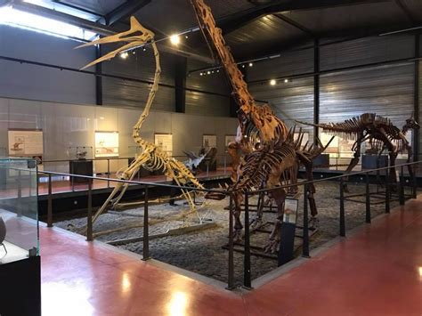 Le Musée des Dinosaures de Daqing: Une Immersion Préhistorique Inoubliable !